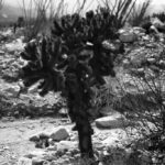 Thumbnail of ULTRAVIOLET ANZA BORREGO AUG25 2018 (41) FINAL 01